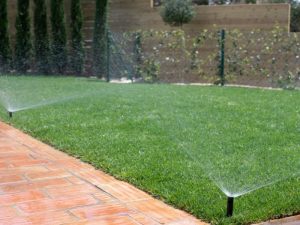 Cuidados del jardín en verano