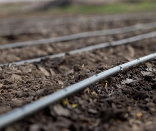 sistema de riego por goteo sistema de riego por goteo