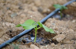 gotero autocompesnante integrado