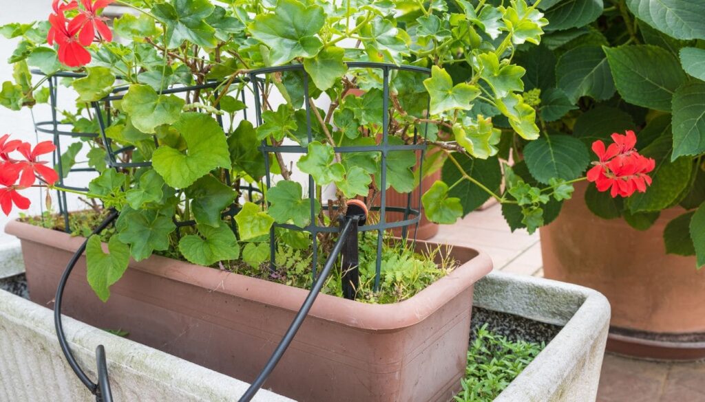 riego automatico para macetas